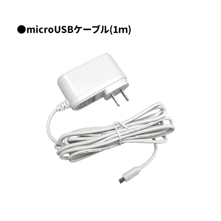 SecuSTATION 【屋内用カメラ専用】ACアダプター microUSB タイプC 1m