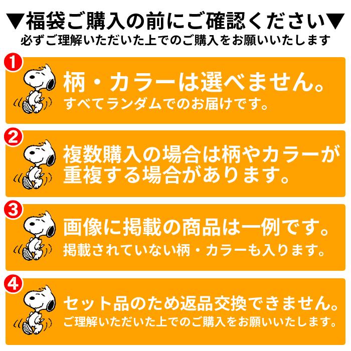 スヌーピー Snoopy レディース メンズ Tシャツ レディース 半袖tシャツ カットソー 福袋 21 5枚セット ピーナッツ 得トクセール 福袋 セール Sale Snoopy5 セドールjapan 通販 Yahoo ショッピング