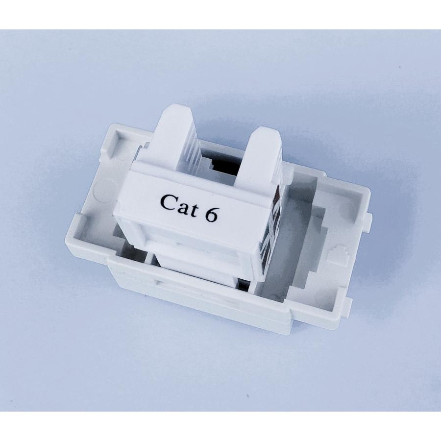 CAT.6 UTP LAN埋込モジュラージャック デュアルタイプ 90度 情報