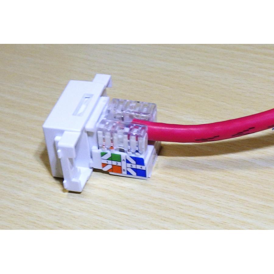 CAT.6 UTP LAN埋込モジュラージャック デュアルタイプ 90度 情報
