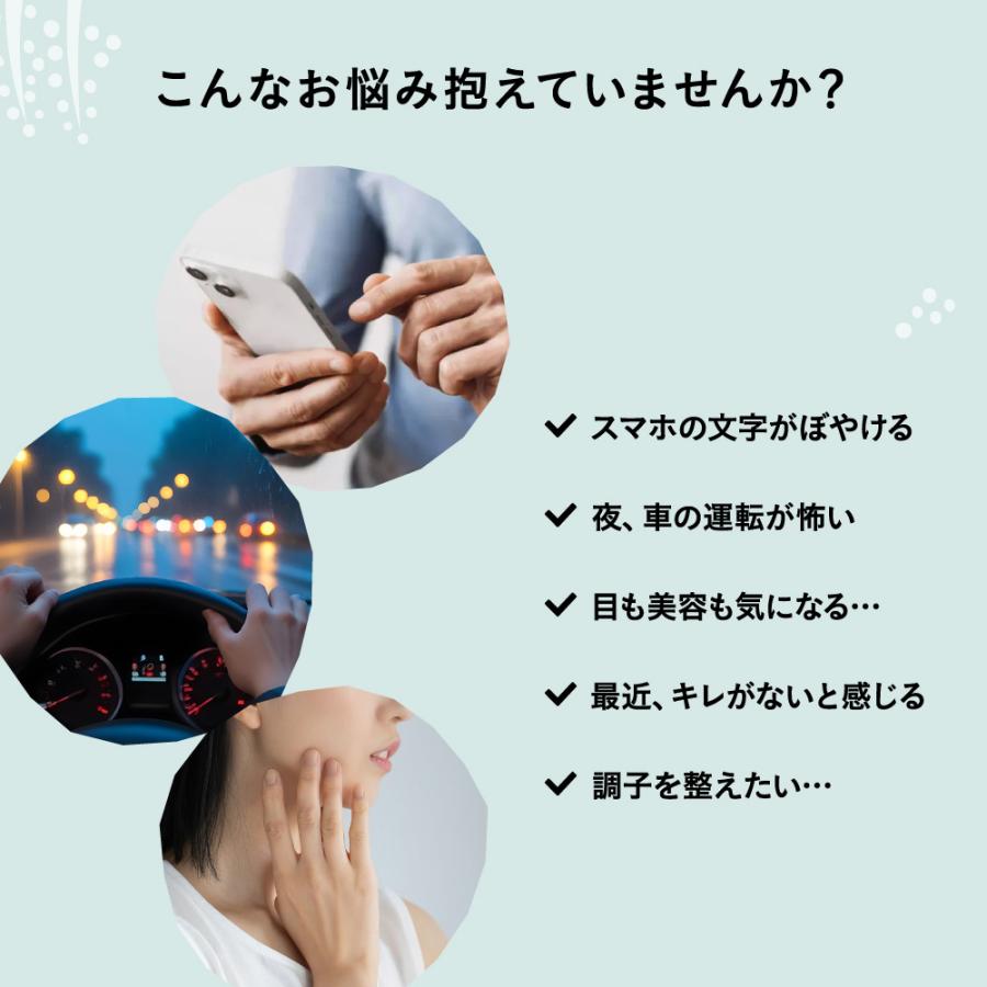 サプリ サプリメント アサイベリー 約3ヵ月分 ダイエット 食物繊維 ポリフェノール | seedcoms | 05