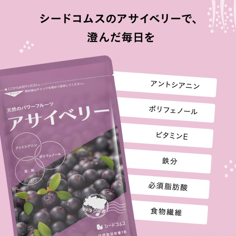 サプリ サプリメント アサイベリー 約3ヵ月分 ダイエット 食物繊維 ポリフェノール | seedcoms | 06