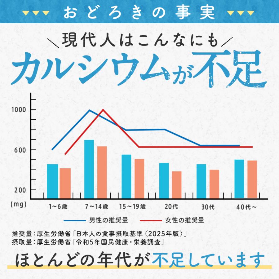 サプリ サプリメント カルシウム マグネシウム 約3ヵ月分 ダイエット | seedcoms | 04