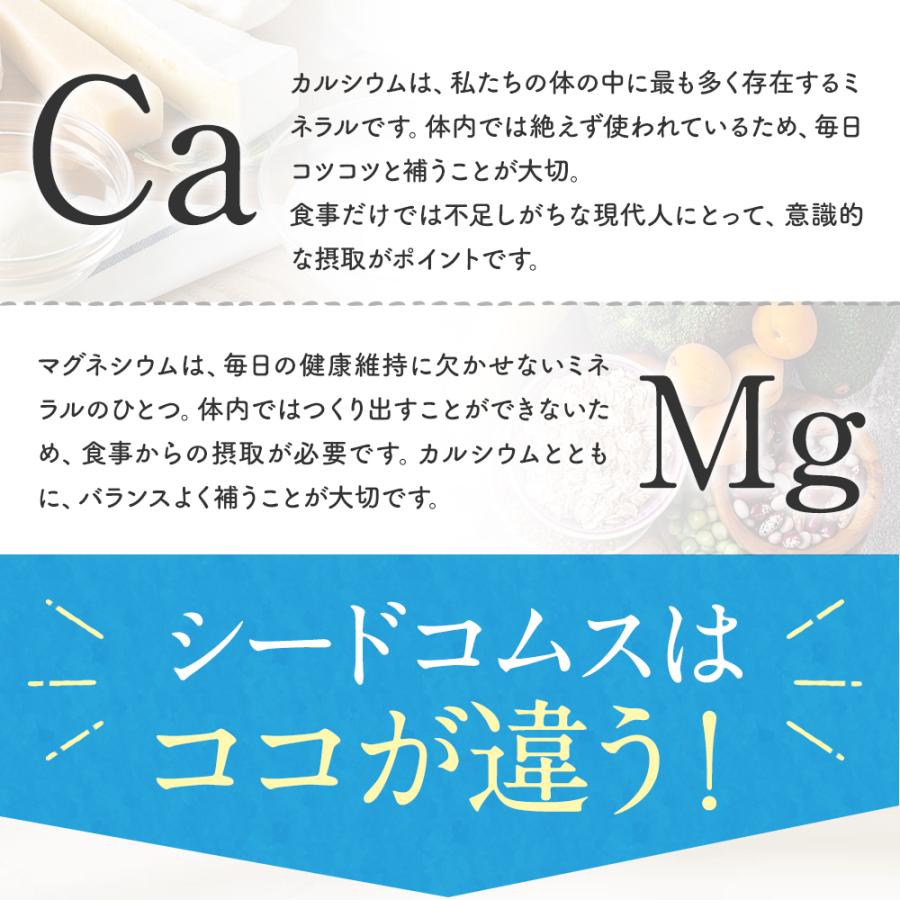 サプリ サプリメント カルシウム マグネシウム 約3ヵ月分 ダイエット | seedcoms | 08