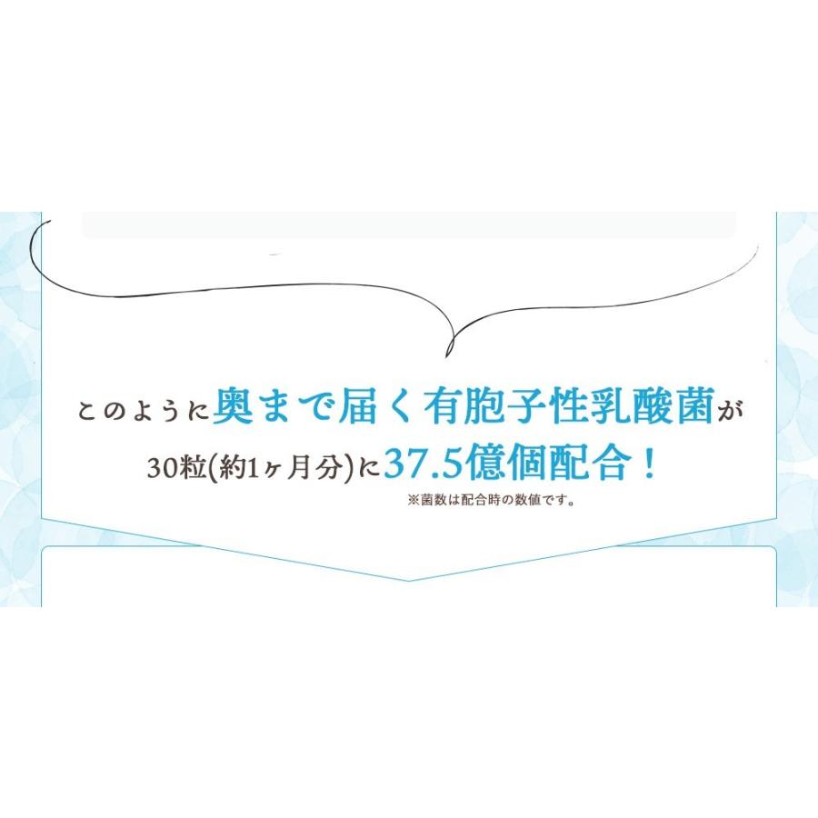 クーポンで198円 サプリ サプリメント 乳酸菌 サプリ 有胞子性乳酸菌ソフトカプセル 約1ヵ月分 ダイエット｜seedcoms｜06