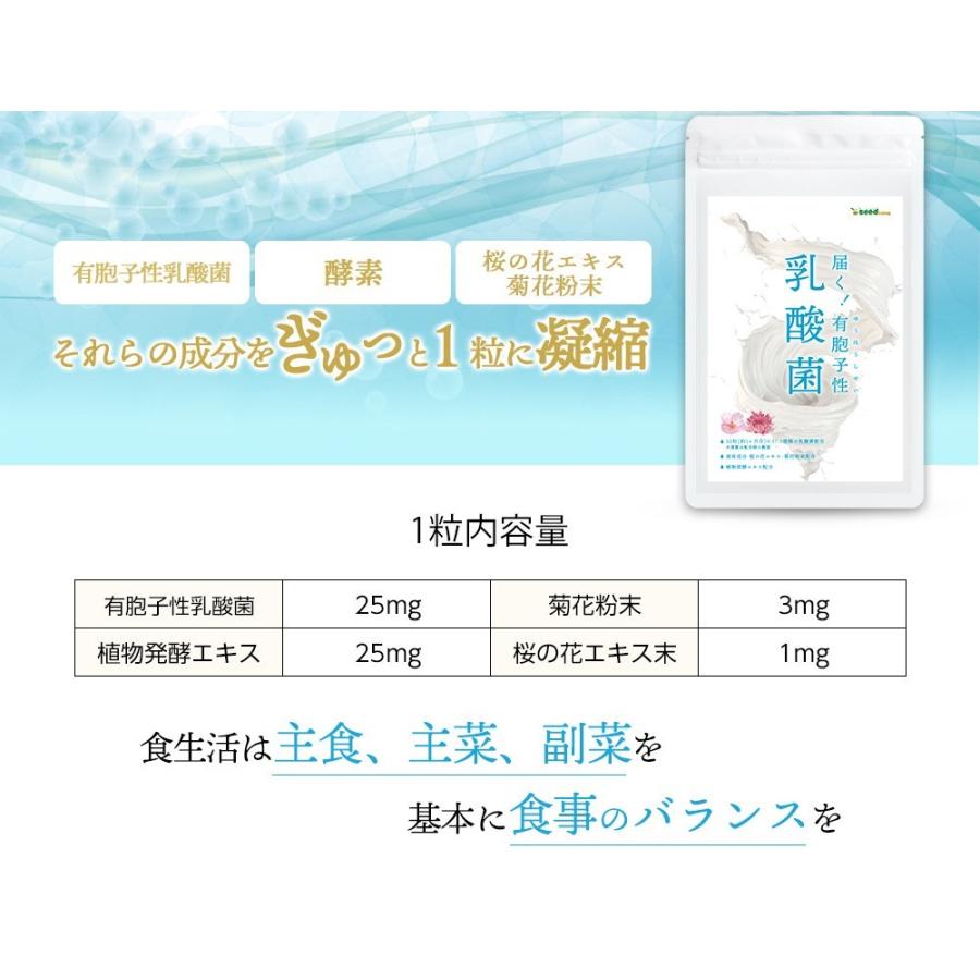 クーポンで198円 サプリ サプリメント 乳酸菌 サプリ 有胞子性乳酸菌ソフトカプセル 約1ヵ月分 ダイエット｜seedcoms｜09