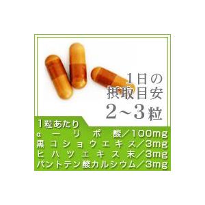 seedcoms（シードコムス） サプリ サプリメント アルファリポ酸 約3