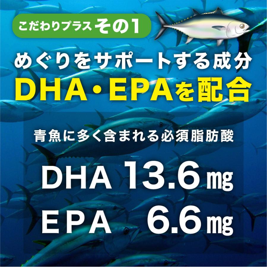 クーポンで半額665円  サプリ サプリメント イチョウ葉エキス　約1ヵ月分 DHA EPA フラボノイド配糖体24％以上 テルペンラクトン6％以上｜seedcoms｜08