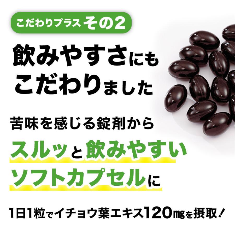 クーポンで半額665円  サプリ サプリメント イチョウ葉エキス　約1ヵ月分 DHA EPA フラボノイド配糖体24％以上 テルペンラクトン6％以上｜seedcoms｜09