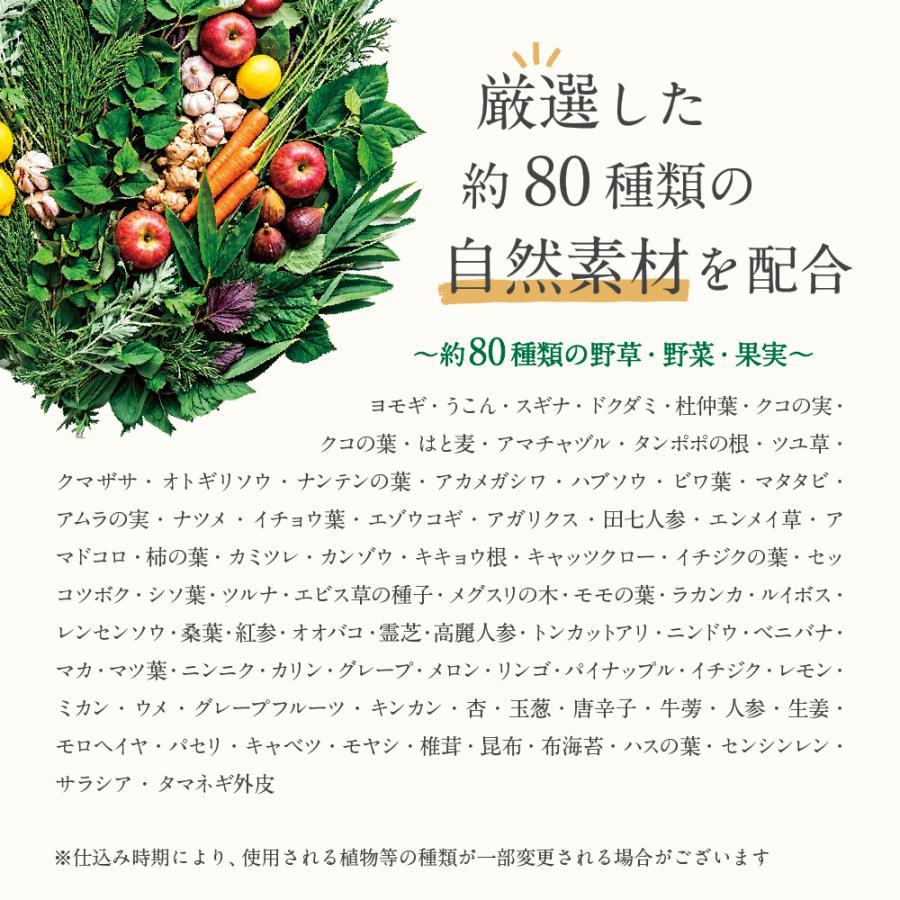 サプリ サプリメント 生酵素 酵素　野草酵素 BIGサイズ約1年分 サプリ ダイエットサプリ 簡単 ダイエット | seedcoms | 04