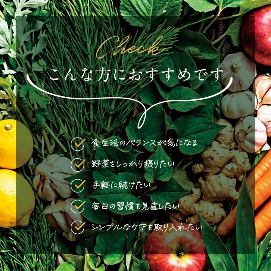 seedcoms（シードコムス） サプリ サプリメント 生酵素 酵素 野草酵素