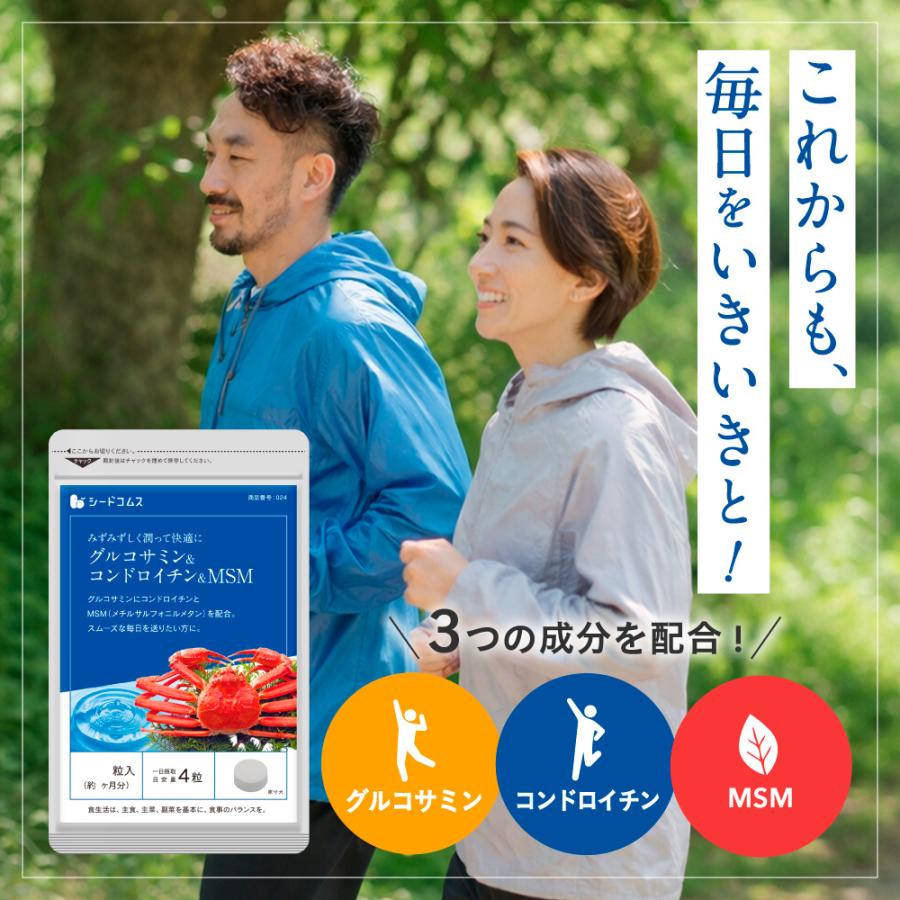 サプリ サプリメント グルコサミン コンドロイチン MSM 約12ヵ月分　サプリ　サプリメント ダイエット_6