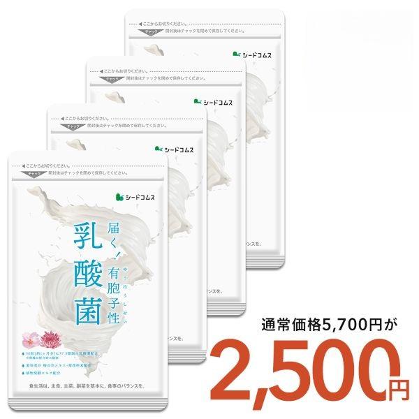 サプリ サプリメント 乳酸菌 サプリ 有胞子性乳酸菌ソフトカプセル BIGサイズ約1年分　サプリ　サプリメント ダイエット の商品画像