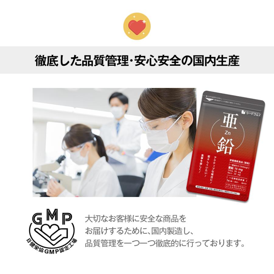 サプリ サプリメント 亜鉛  BIGサイズ約1年分　送料無料　サプリ　サプリメント ダイエット | seedcoms | 10