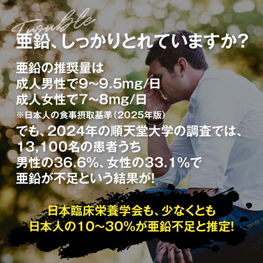 サプリ サプリメント 亜鉛  BIGサイズ約1年分　送料無料　サプリ　サプリメント ダイエット | seedcoms | 05