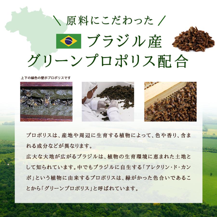 seedcoms（シードコムス） サプリ サプリメント プロポリス 約12ヵ月分