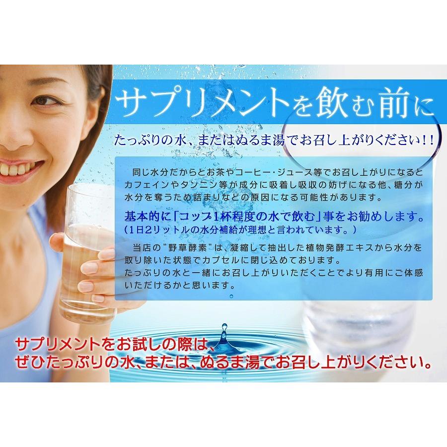 サプリ 野草酵素 生酵素 酵素 野草酵素 約1ヵ月分 ダイエットサプリ ダイエット｜seedcoms｜08