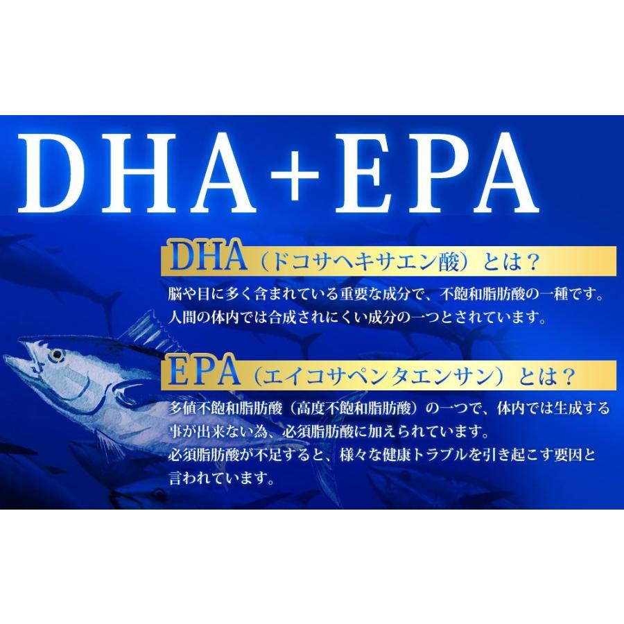 オメガ3 約3ヵ月分 DHA EPA サプリメント オメガ3 α-リノレン酸 不飽和脂肪酸 サプリ あまに油 えごま油 魚 オイル｜seedcoms｜09