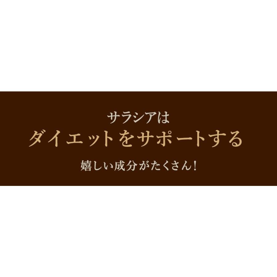 サプリ サプリメント サプリ サプリメント サラシア　約1ヵ月分　送料無料 ダイエット サラシア茶 炭水化物 | seedcoms | 03