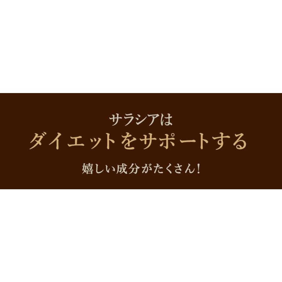 クーポンで198円 サプリ サプリメント サラシア　約1ヵ月分　送料無料 ダイエット サラシア茶 炭水化物｜seedcoms｜04