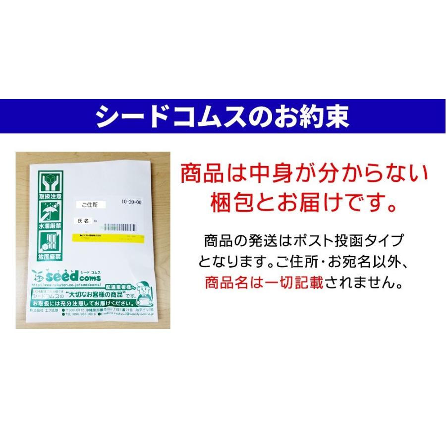 サプリ サプリメント トナカイの角 マカ 高麗人参などパワー系素材7種配合 大地のチカラ 約1ヵ月分 トナカイの角 マカ 高麗人参 田七人参 :AI4-1:シードコムスYahoo!店 - 通販 - Yahoo!ショッピング サプリ サプリメント トナカイの角 マカ 高麗人参などパワー系素材7種配合 大地のチカラ 約1ヵ月分 トナカイの角 マカ 高麗人参 田七人参 :AI4-1:シードコムスYahoo!店 - 通販 - Yahoo!ショッピング