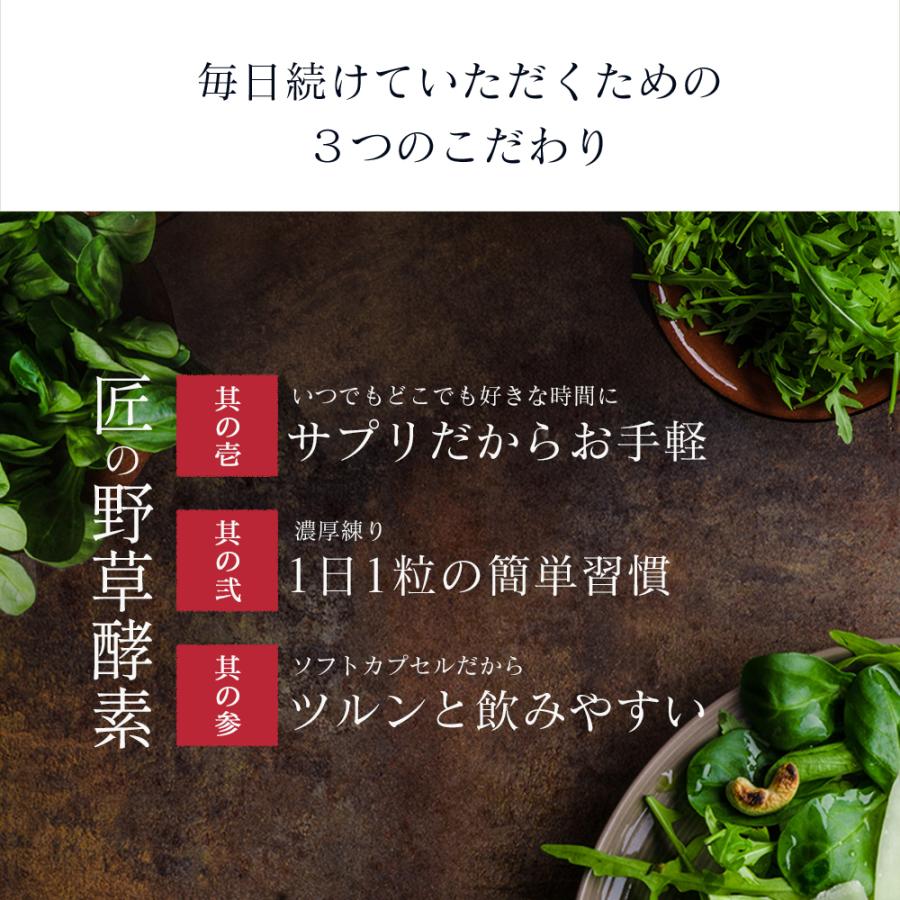 seedcoms（シードコムス） サプリ サプリメント 匠の野草酵素 約3ヵ月