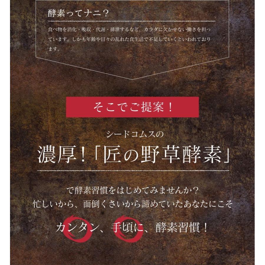 サプリ サプリメント 匠の野草酵素　約3ヵ月分　酵素　練酵素　生酵素 | seedcoms | 02