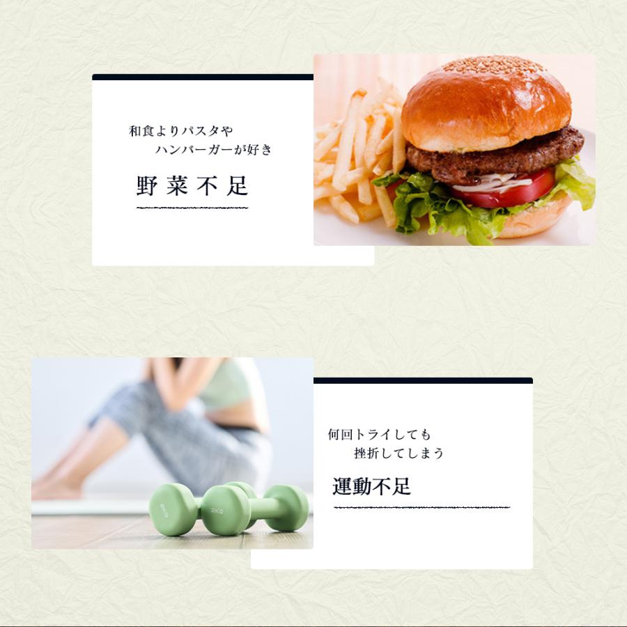 seedcoms（シードコムス） サプリ サプリメント 匠の野草酵素 約3ヵ月