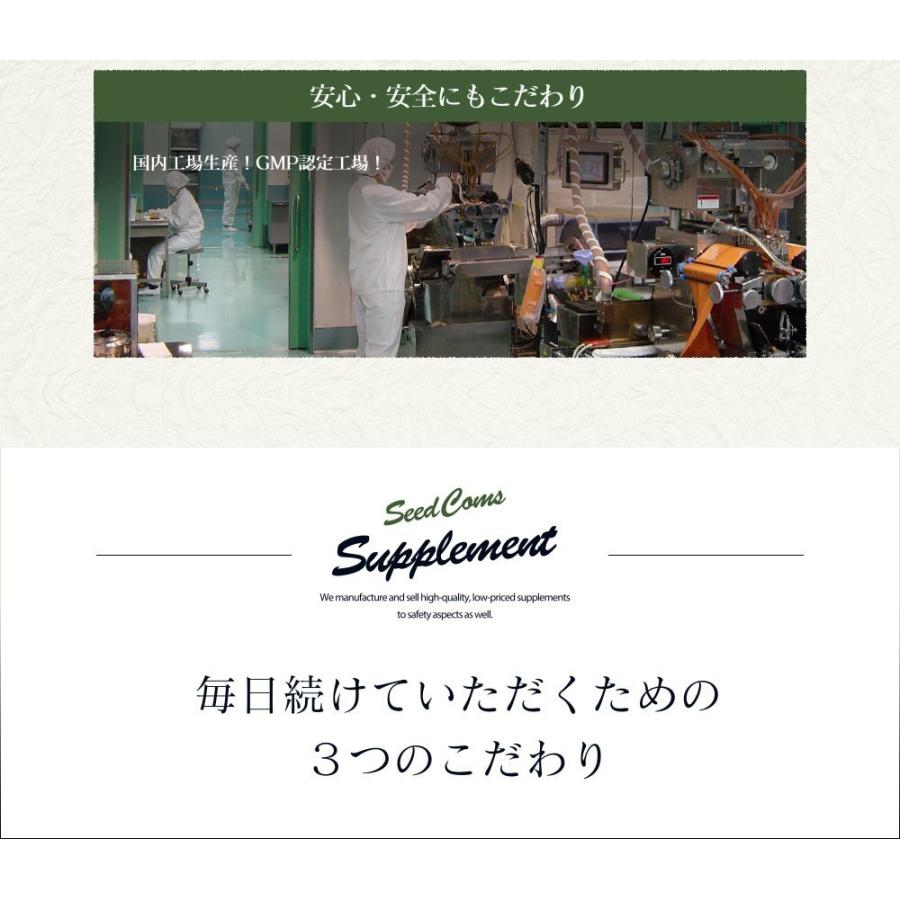 サプリ サプリメント 匠の野草酵素　約6ヵ月分　酵素　練酵素　生酵素 | seedcoms | 06