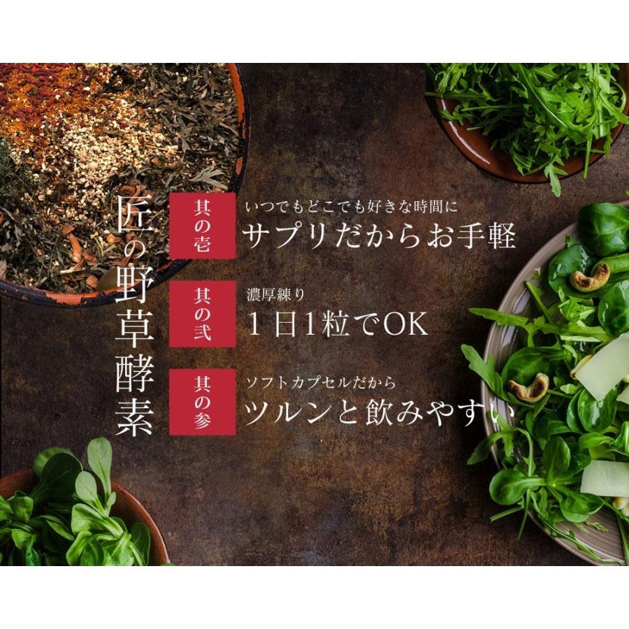 サプリ サプリメント 匠の野草酵素　約6ヵ月分　酵素　練酵素　生酵素 | seedcoms | 07