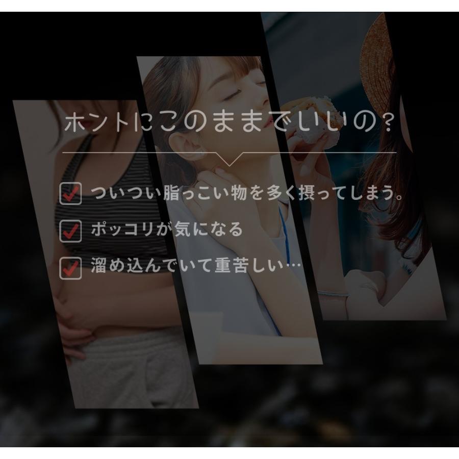 炭 サプリ サプリメント ダイエット ブラックスレンダー約３ヵ月分 送料無料 乳酸菌 炭サプリ オリゴ糖 チャコール 黒生姜 黒しょうが｜seedcoms｜04