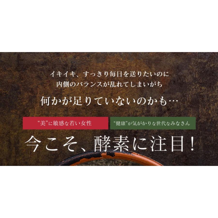 サプリ サプリメント 匠の野草酵素　約1ヵ月分　酵素　練酵素　生酵素｜seedcoms｜05