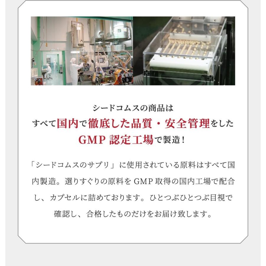 コンブチャ サプリメント 二個セット コンブチャ サプリ クレンズ ダイエット サプリメント 約6ヵ月分/360粒