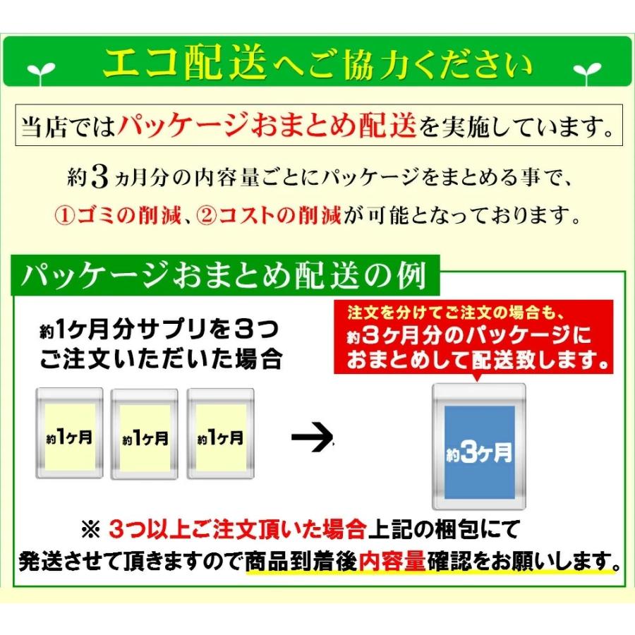 ブロッコリースプラウト サプリ サプリメント 約1ヵ月分｜seedcoms｜13