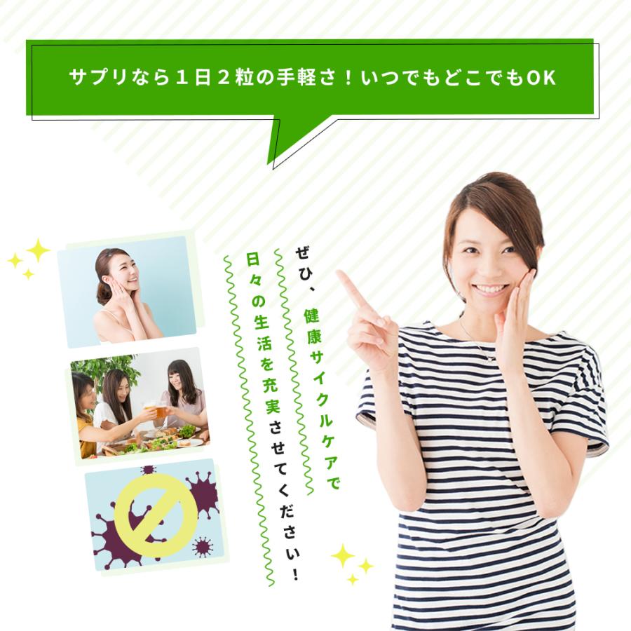 【4袋@1750 計7000】ブロッコリースプラウト★シードコムス シードコムス ブロッコリースプラウト1年分(3ヶ月分を4袋