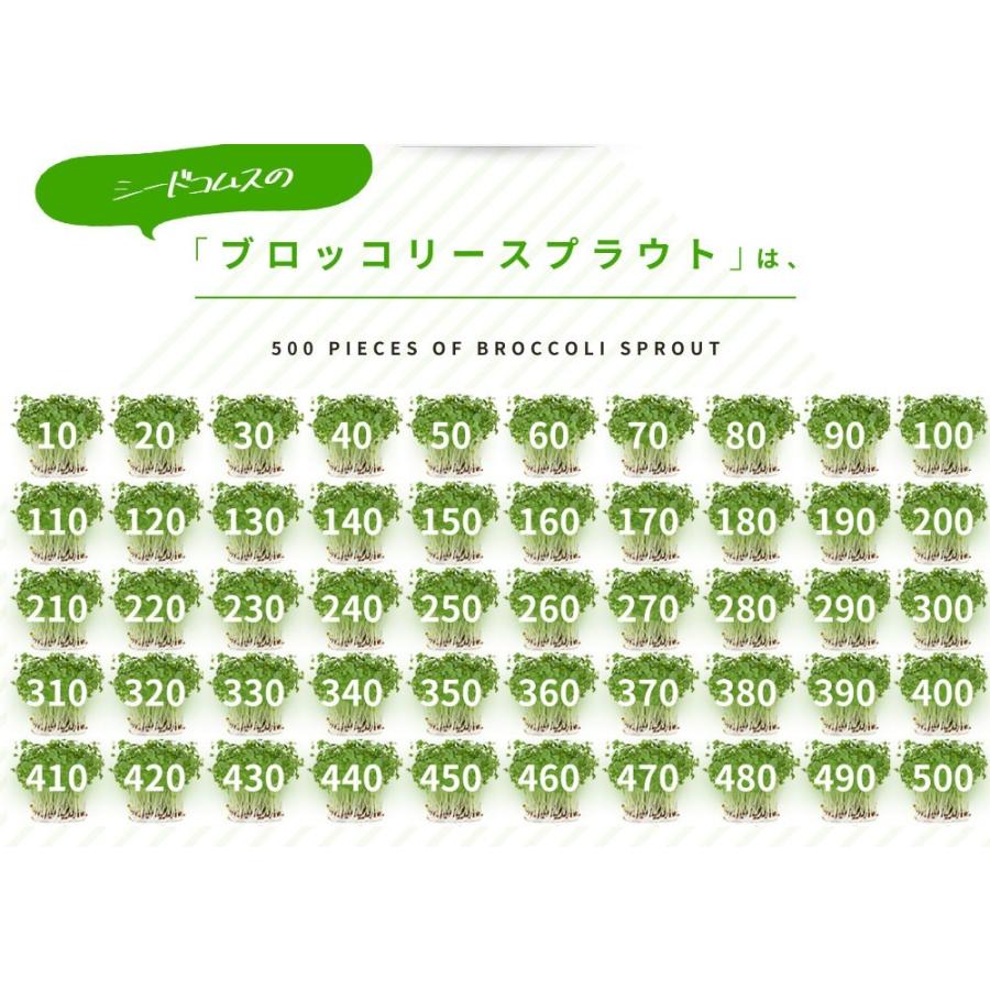 ブロッコリースプラウト サプリ サプリメント 約1ヵ月分 :AM3-1:シードコムスYahoo!店 - 通販 - Yahoo!ショッピング ブロッコリースプラウト サプリ サプリメント 約1ヵ月分 :AM3-1:シードコムスYahoo!店 - 通販 - Yahoo!ショッピング
