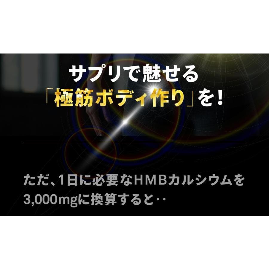 1日3000mgのHMBを高配合 HMBカルシウム+必須アミノ酸EAA配合 約3ヵ月分 送料無料 筋トレ トレーニング スポーツ ダイエット hmb｜seedcoms｜10