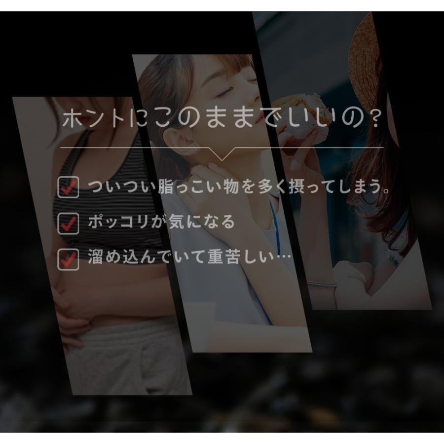 クーポンで333円 サプリ サプリメント ダイエット ブラックスレンダー約1ヵ月分 送料無料 乳酸菌 炭サプリ オリゴ糖 チャコール 黒生姜 黒しょうが｜seedcoms｜04