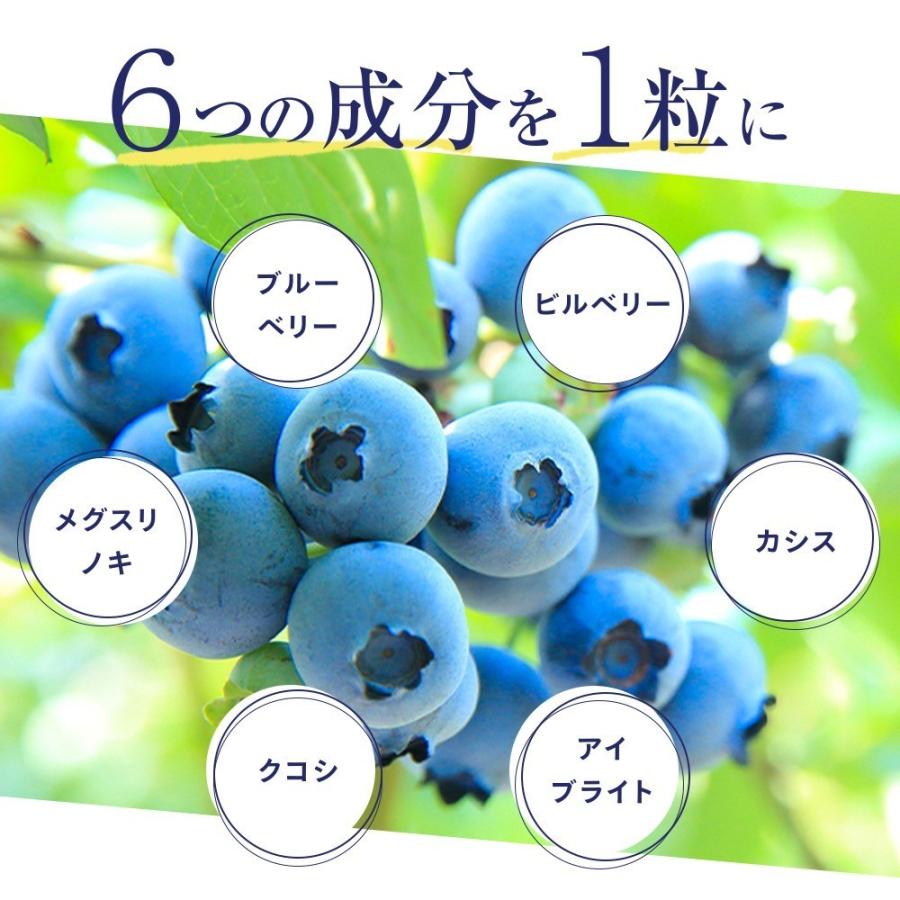 seedcoms（シードコムス） サプリ サプリメント ブルーベリー 約3ヵ月