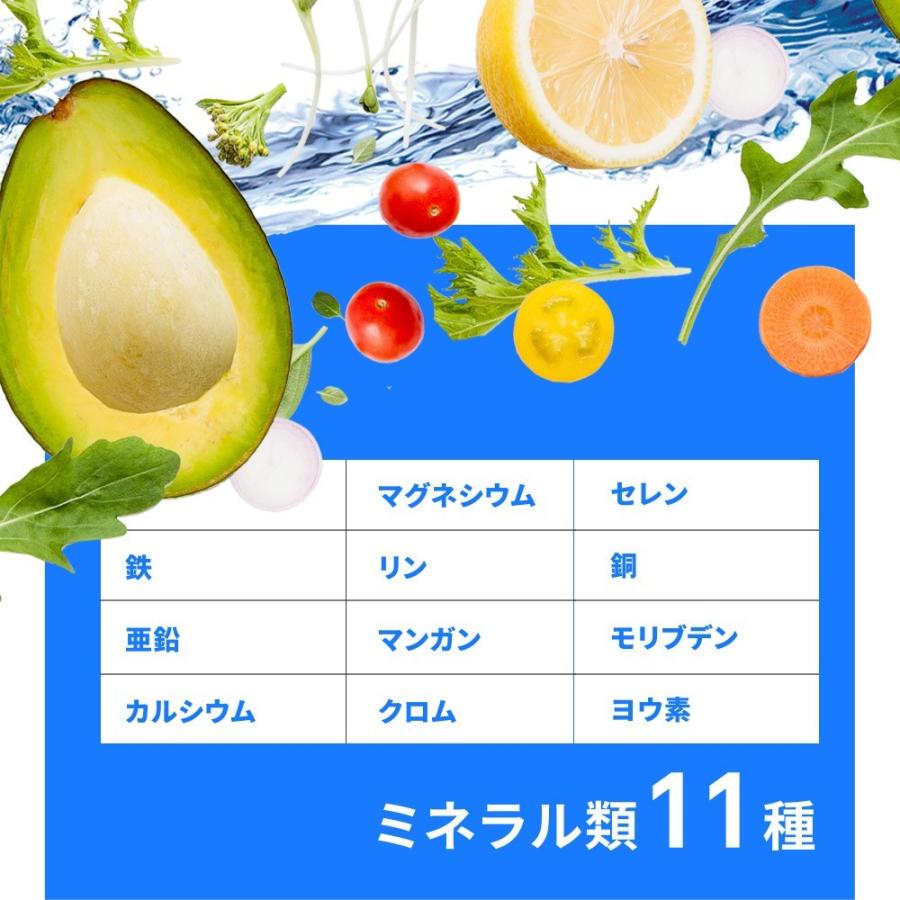 seedcoms（シードコムス） マルチビタミン＆マルチミネラル 約12ヵ月分