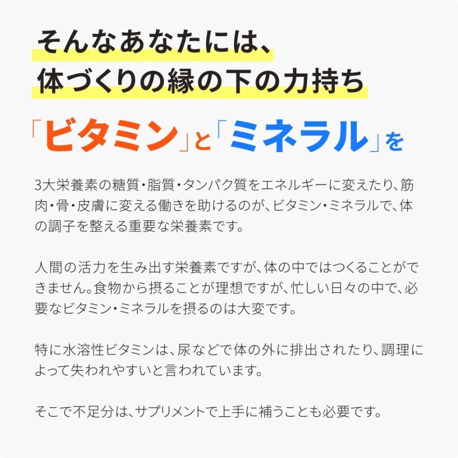 クーポンで198円 マルチビタミン＆マルチミネラル 約1ヵ月分 サプリ サプリメント｜seedcoms｜05