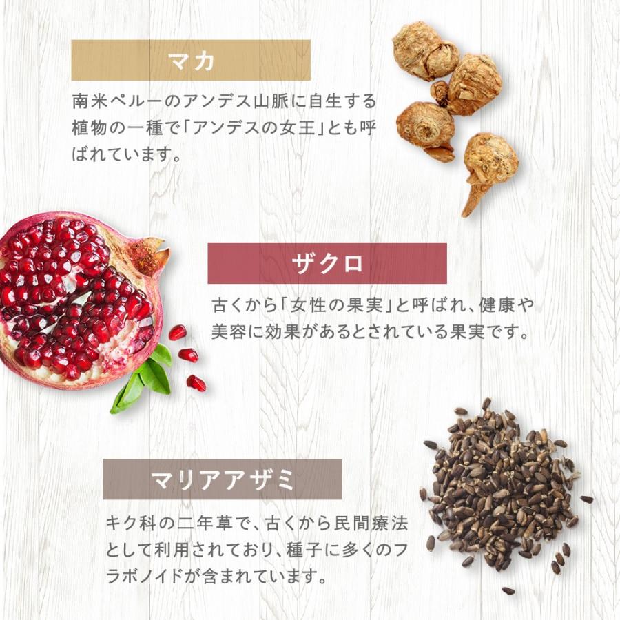 seedcoms サプリ サプリメント バストケアサプリ プリンセスモア