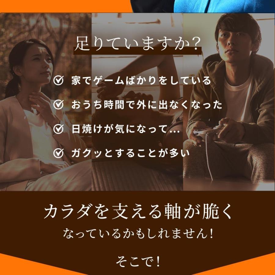 ビタミンD カルシウム入り 30粒 約1ヵ月分 30マイクログラム配合 ビタミン ビタミンD3 カルシウム サプリ サプリメント | seedcoms | 02