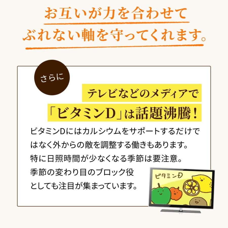 ビタミンD カルシウム入り 30粒 約1ヵ月分 30マイクログラム配合 ビタミン ビタミンD3 カルシウム サプリ サプリメント｜seedcoms｜06