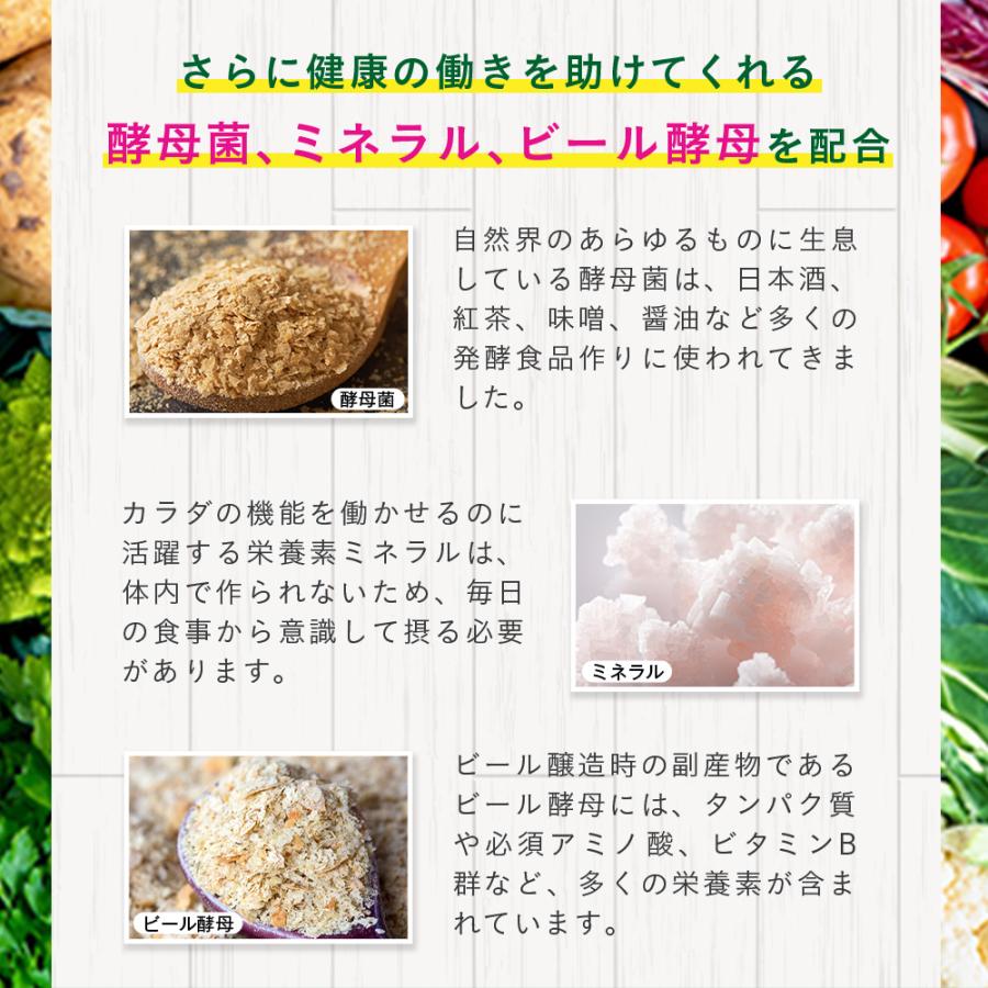 seedcoms 450種類の野菜 野草 果実 海藻 キノコ 豆類を使用 まい