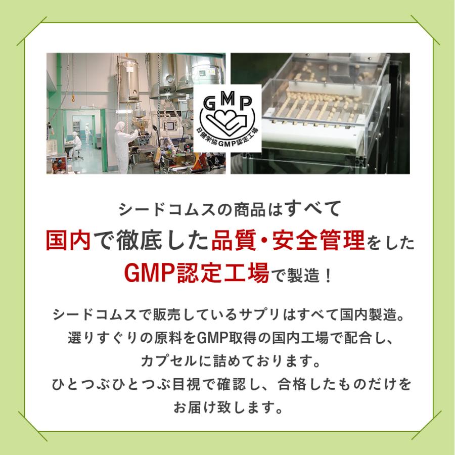 seedcoms 450種類の野菜 野草 果実 海藻 キノコ 豆類を使用 まい