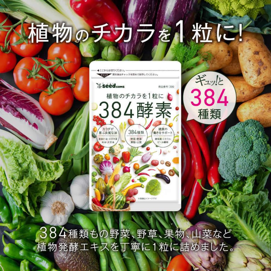 384種類の野菜 野草 果実 海藻 キノコ 豆類を使用 送料無料 384種類重複一切無し 約12ヵ月分 買取 384酵素 酵素サプリ