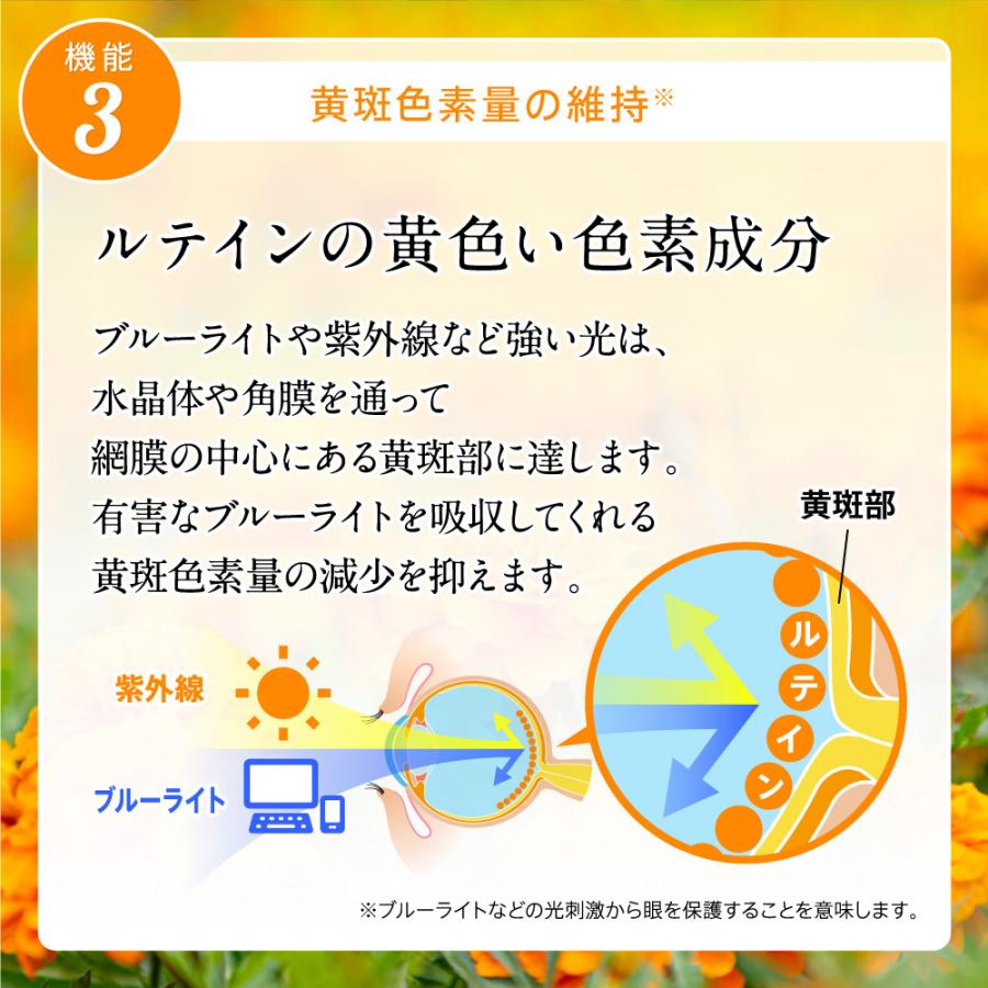 サプリ サプリメント 1粒にルテイン20mg配合 機能性表示食品 アイジェニック 1ヵ月分 DHA EPA イチョウ葉 サプリメント 眼鏡 コンタクト 眼の健康爆買 | seedcoms | 10