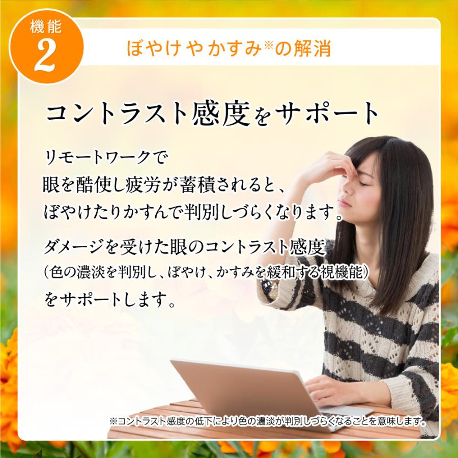 サプリ サプリメント 1粒にルテイン20mg配合 機能性表示食品 アイジェニック 1ヵ月分 DHA EPA イチョウ葉 サプリメント 眼鏡 コンタクト 眼の健康爆買 | seedcoms | 09