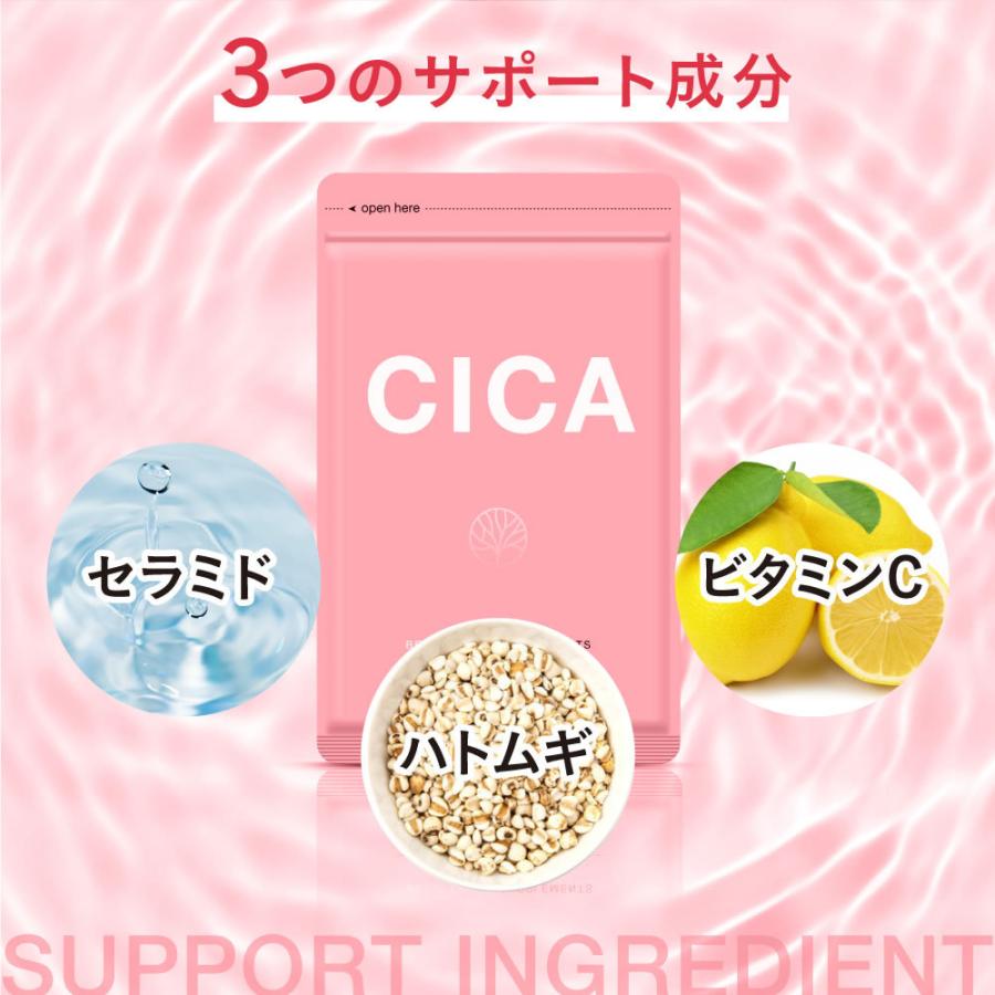 クーポンで222円 韓国コスメで大人気 飲む CICA サプリ 30粒 約1ヵ月分 シカ はとむぎ ビタミンC セラミド ツボクサ 美容ケア サプリ サプリメント 送料無料｜seedcoms｜05